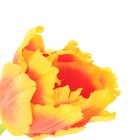 цветы искусственные тюльпан волна желто красный 60 см - Фото 2