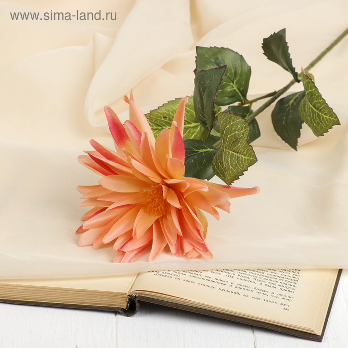 цветы искусственные георгин новый персиковый 78 см - Фото 1