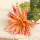 цветы искусственные георгин новый персиковый 78 см - Фото 2