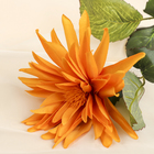 цветы искусственные георгин новый оранжевый 78 см - Фото 2