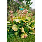 Декор садовый "Совушка", 13*9*82 см, микс цвета - Фото 10