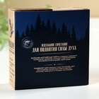 Подарочный набор «Сильному духом. 23 февраля»: чай травяной 20 г., бальзам 100 мл. 10020387