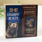 Подарочный набор «Сильному духом. 23 февраля»: чай травяной 20 г., бальзам 100 мл. - фото 65410549