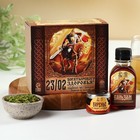 Подарочный набор на 23 февраля «Богатырского здоровья», чай травяной 20 г, варенье из сосновых шишек с брусникой 30 г, сироп 100 мл. - Фото 1