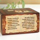 Подарочный набор на 23 февраля «Богатырского здоровья», чай травяной 20 г, варенье из сосновых шишек с брусникой 30 г, сироп 100 мл. - Фото 5