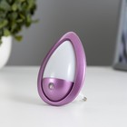 Ночник «Светлячок» с датчиком освещения, 3_LED х 1 Вт, 10 см (220 В) фиолет. RISALUX - Фото 2
