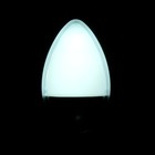 Ночник "Светлячок" с датчиком освещения, 3_LED х 1 Вт, 10 см (220В) серебр. RISALUX - Фото 3