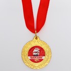 Медаль «Выпускник», диам.4.5 см - фото 24638049