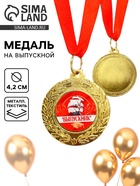 Медаль на выпускной «Выпускник», d=4.2 см - Фото 1