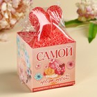 Маршмеллоу в форме мороженного «Самой нежной», 35 г. - фото 25555847