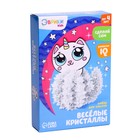 УЦЕНКА Набор для выращивания кристалла «Опыты. Весёлые кристаллы: Котик-единорог» - Фото 3