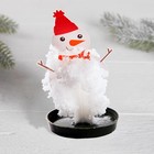 УЦЕНКА Набор для опытов «Чудесные кристаллы: Снеговик» - Фото 2