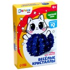 УЦЕНКА Набор для выращивания кристалла «Опыты. Чудесные кристаллы: Котик» - Фото 3