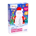УЦЕНКА Набор для выращивания кристалла «Опыты. Чудесные кристаллы: Дед Мороз» 10284493