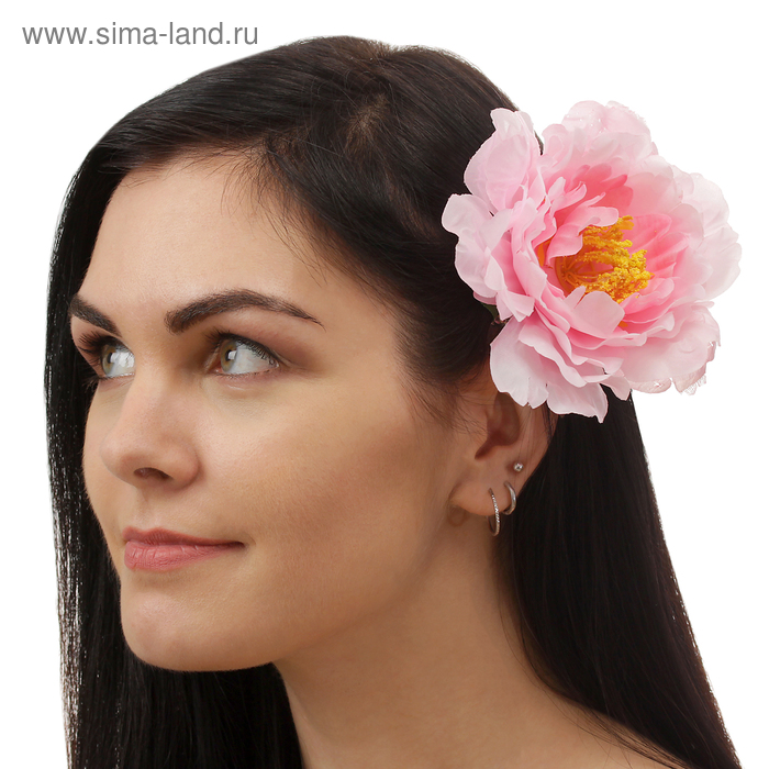 Гавайский зажим "Астра" - Фото 1