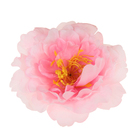 Гавайский зажим "Астра" - Фото 2