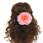 Гавайский зажим "Астра" - Фото 4