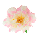 Гавайский зажим "Пион", цвет бело-розовый - Фото 2