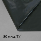Плёнка полиэтиленовая, техническая, толщина 80 мкм, 5 × 3 м, рукав (2 × 1,5 м), чёрная, 2 сорт, Эконом 50 % - фото 320943528