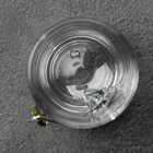 Стопки «Непробиваемый», 2 шт., с рыбкой, 50 мл 9715506