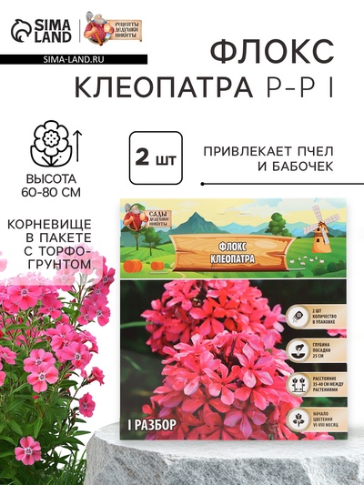 Флокс «Клеопатра» корневище в пакете с торфогрунтом, р-р I, 2 шт.