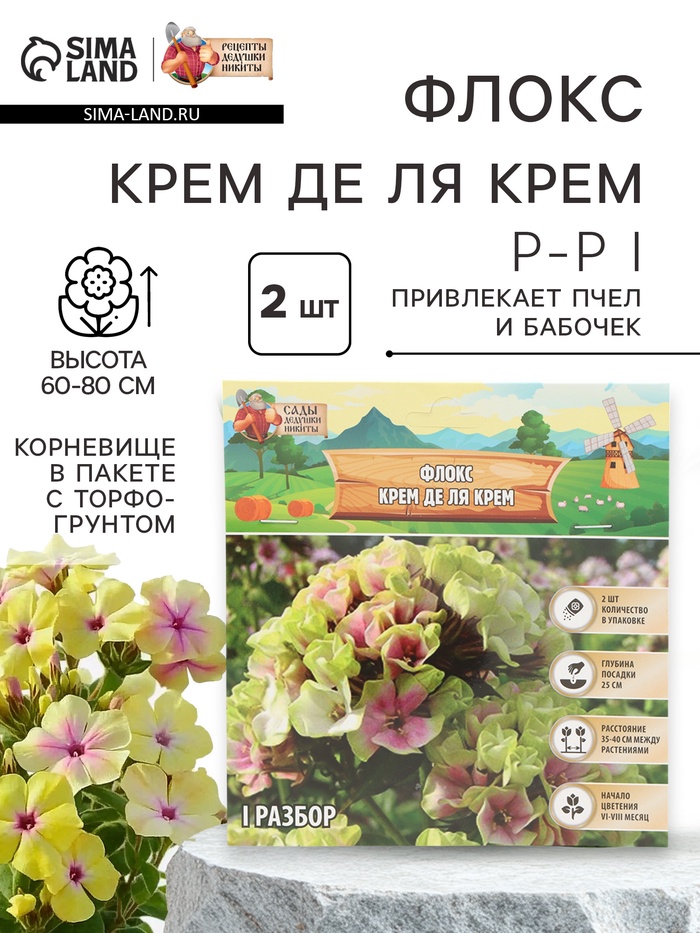 Флокс «Крем де ля Крем» корневище в пакете с торфогрунтом, р-р I, 2 шт. - Фото 1