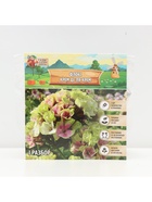 Флокс «Крем де ля Крем» корневище в пакете с торфогрунтом, р-р I, 2 шт. - Фото 6