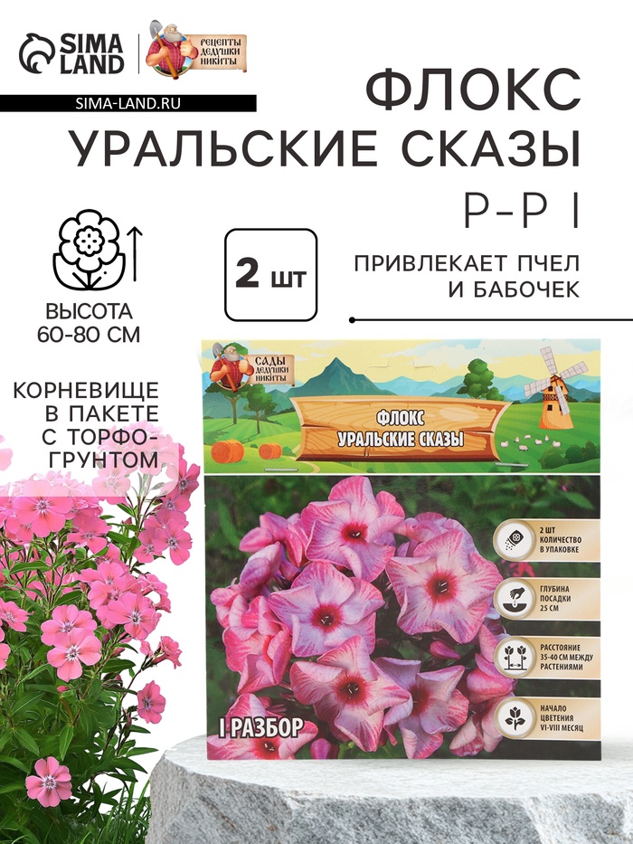 Флокс «Уральские сказы» корневище в пакете с торфогрунтом, р-р I, 2 шт. - Фото 1