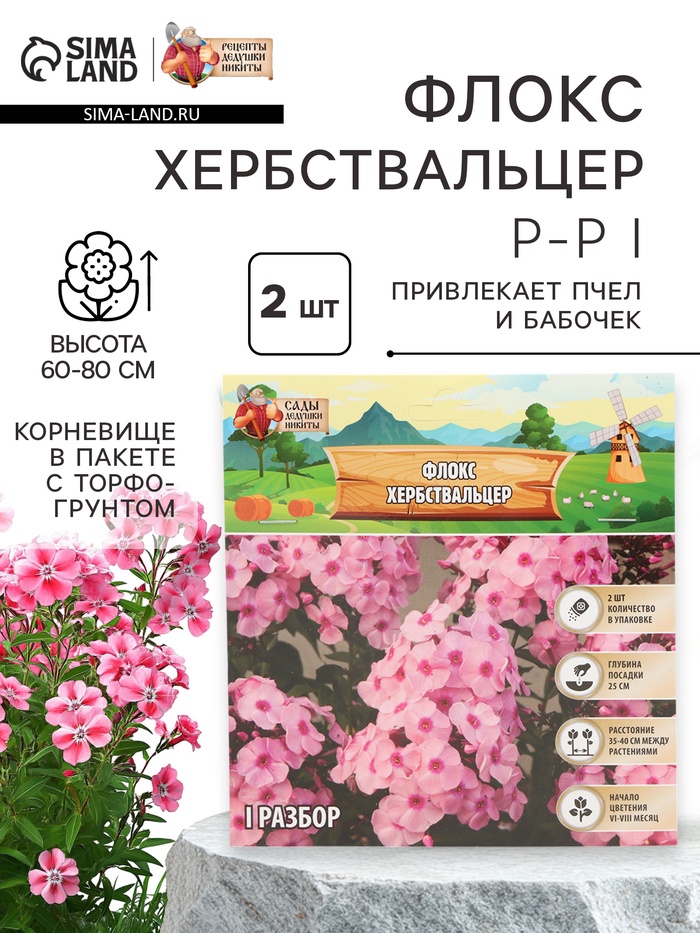 Флокс «Хербствальцер» корневище в пакете с торфогрунтом, р-р I, 2 шт. - Фото 1