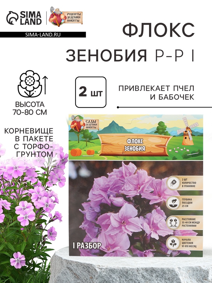 Флокс «Зенобия» корневище в пакете с торфогрунтом, р-р I, 2 шт. - Фото 1