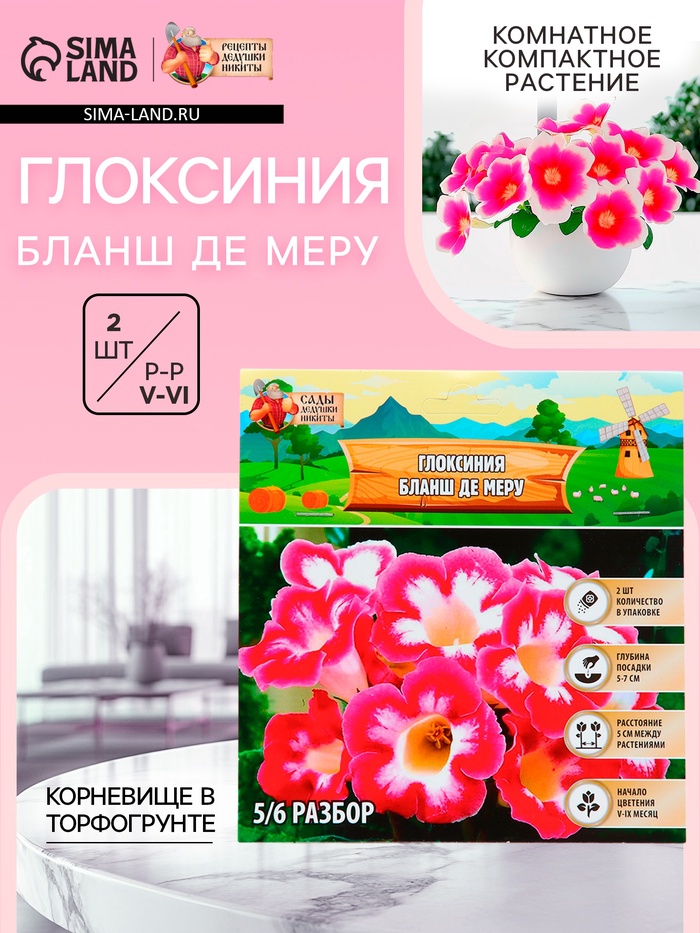 Глоксиния «Бланш де Меру», многолетник, комнатный, луковица в пакете с перфорацией, р-р 5/6, 2 шт. - Фото 1