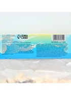 Глоксиния «Бланш де Меру», многолетник, комнатный, луковица в пакете с перфорацией, р-р 5/6, 2 шт. - Фото 6