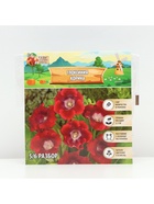 Глоксиния «Корина», многолетник, комнатный, луковица в пакете с перфорацией, р-р 5/6, 2 шт. - Фото 4