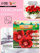 Глоксиния «Дефианс» многолетник, комнатный, луковица в пакете с перфорацией, р-р 5/6, 2 шт. - Фото 1