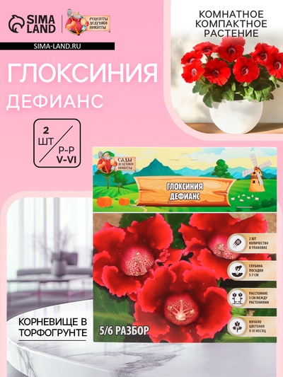 Глоксиния «Дефианс» многолетник, комнатный, луковица в пакете с перфорацией, р-р 5/6, 2 шт.