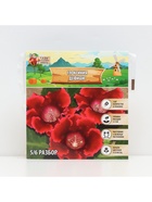 Глоксиния «Дефианс» многолетник, комнатный, луковица в пакете с перфорацией, р-р 5/6, 2 шт. - Фото 4