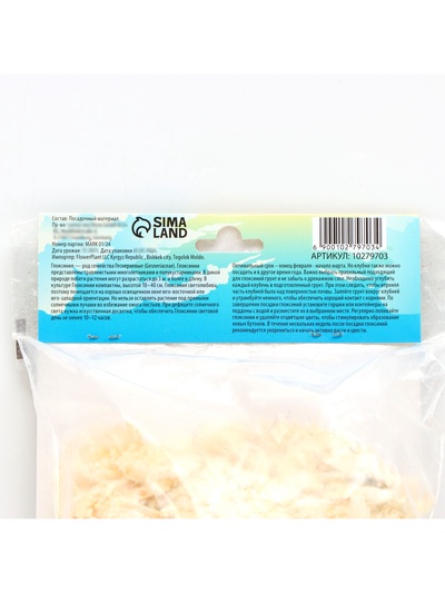 Глоксиния «Дефианс» многолетник, комнатный, луковица в пакете с перфорацией, р-р 5/6, 2 шт.