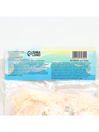 Глоксиния «Этойле де Фью», многолетник, комнатный, луковица в пакете с перфорацией, р-р 5/6, 2 шт. - Фото 6