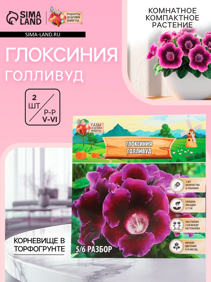 Глоксиния «Голливуд», многолетник, комнатный, луковица в пакете с перфорацией, р-р 5/6, 2 шт. - Фото 1