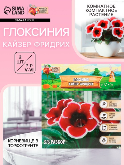 Глоксиния «Кайзер Фридрих», многолетник, комнатный, луковица в пакете с перфорацией, р-р 5/6, 2 шт.