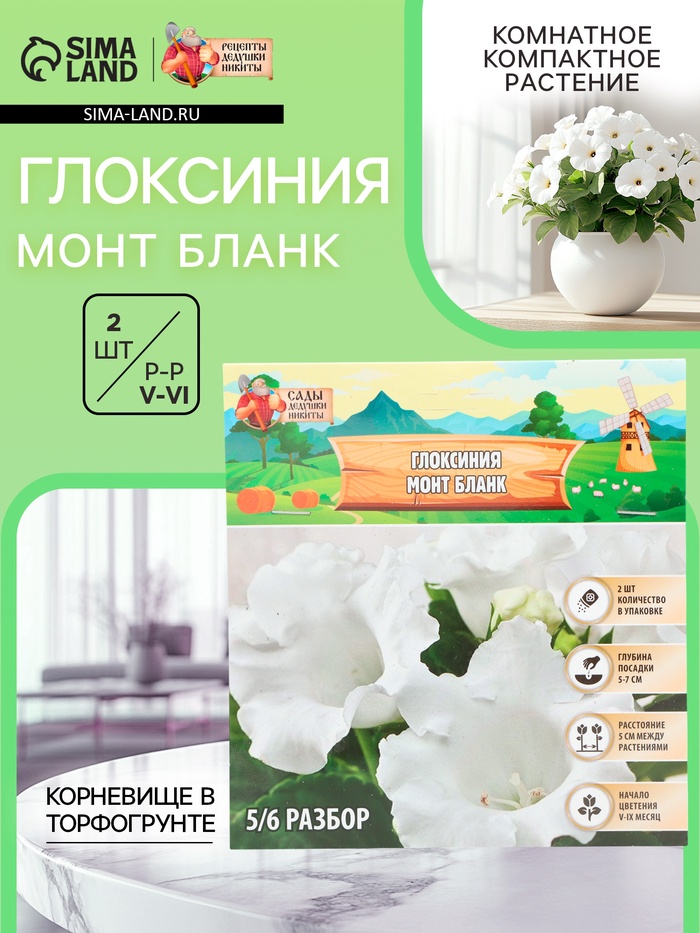 Глоксиния «Монт Бланк», многолетник, комнатный, луковица в пакете с перфорацией, р-р 5/6, 2 шт. - Фото 1