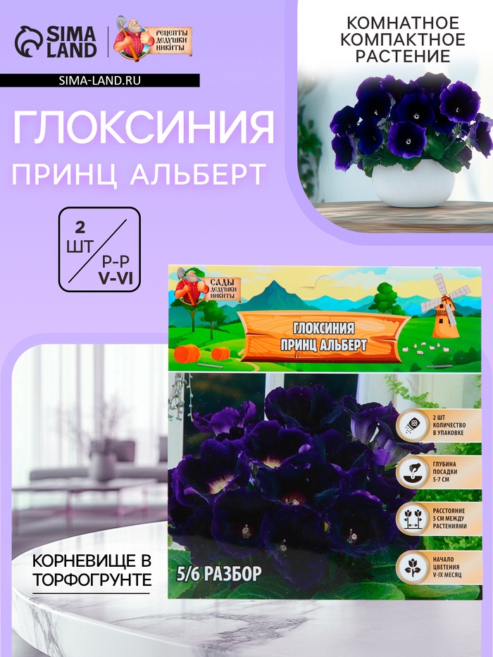 Глоксиния «Принц Альберт», многолетник, комнатный, луковица в пакете с перфорацией, р-р 5/6, 2 шт. - Фото 1