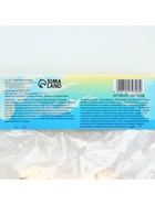 Глоксиния «Принц Альберт», многолетник, комнатный, луковица в пакете с перфорацией, р-р 5/6, 2 шт. - Фото 6