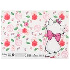 Подарочный набор для девочки, 5 предметов, Коты Аристократы - фото 25280762