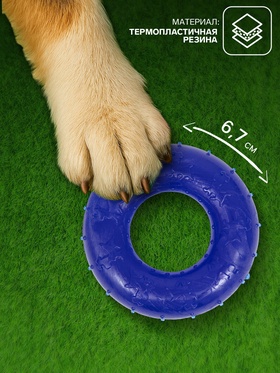 Игрушка жевательная «Кольцо» прозрачная, PP, 6.7×2 см, тёмно-синяя