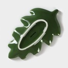 Набор для специй Доляна «Лист», 3 предмета: солонка 80 мл, перечница 80 мл, подставка, зелёный - Фото 6