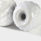 Набор для специй Доляна «Ананас», 2 предмета: солонка 70 мл, перечница 70 мл, белый - Фото 4