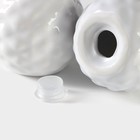 Набор для специй Доляна «Ананас», 2 предмета: солонка 70 мл, перечница 70 мл, белый - Фото 5