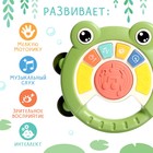 Музыкальная игрушка «Весёлая лягушка», звук, свет - Фото 2