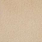 Лоскут плюш, 50 × 50 см, 220 г/м, цвет бежевый №34 - фото 3649593